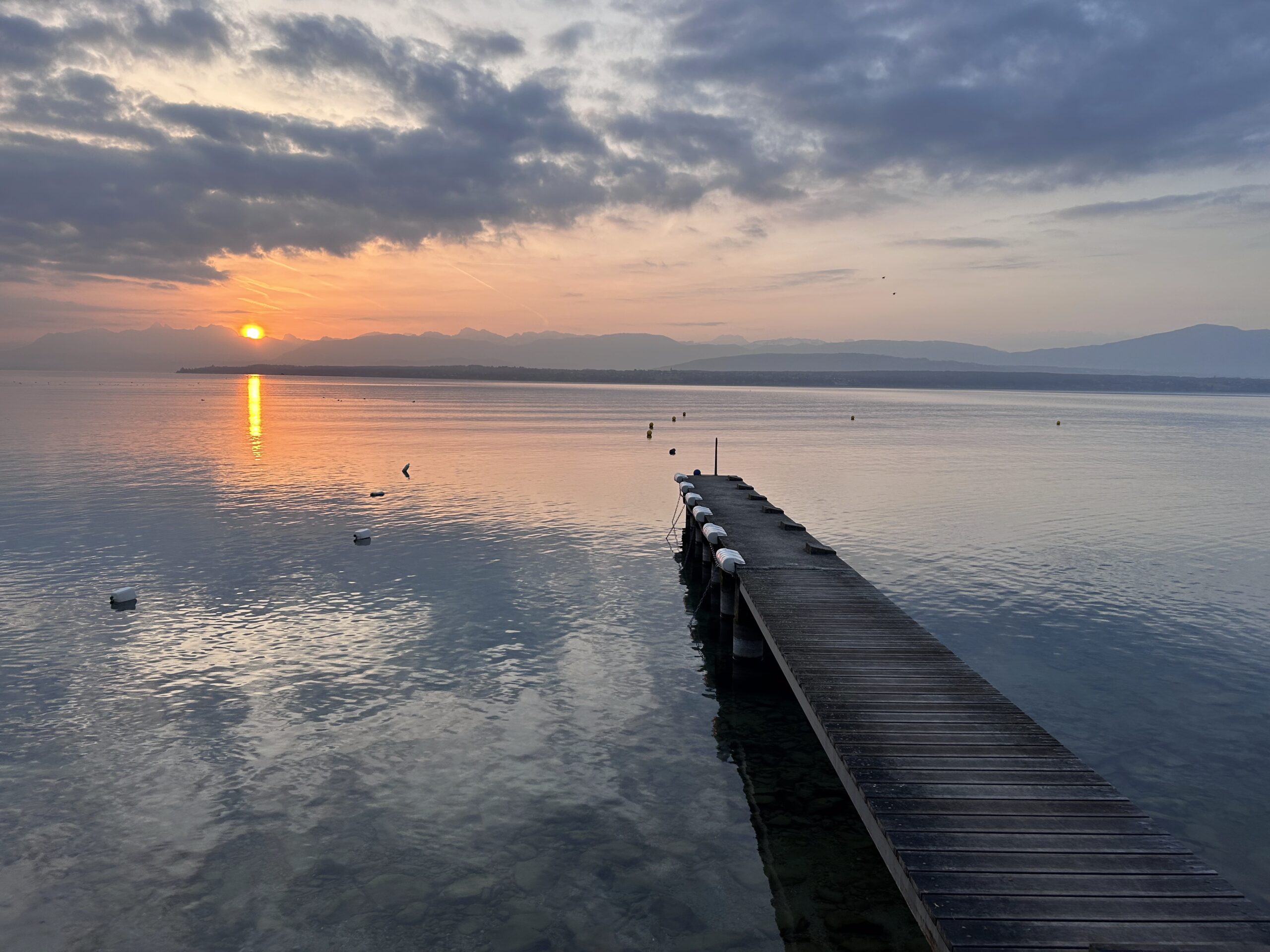 A Ride to Morges and Back to See Tulips