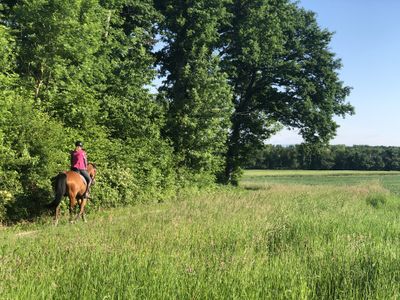 Day 65 of Self-Isolation in Switzerland - Coping with Solitude
