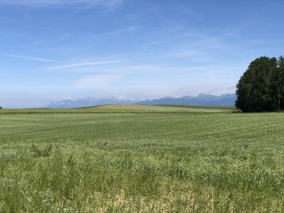 Day 74 of Self-Isolation in Switzerland - Looking At Swiss COVID-19 Case Graphs