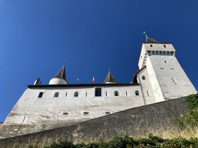 Vision Du Réel - La Muraille