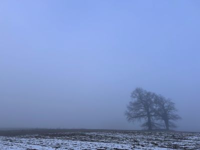 A Run to Blue Sky