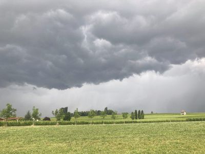 Weather To Be trusted