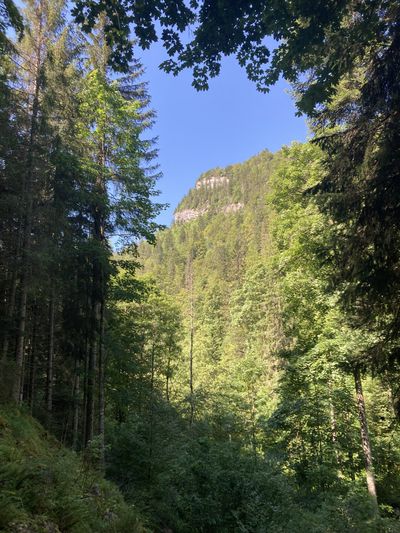 Walking to La Grotte aux Fées and Bisons