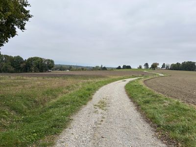 Five Ten Kilometre Runs Later