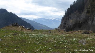 Switzerland, Fitness centres and the mountains