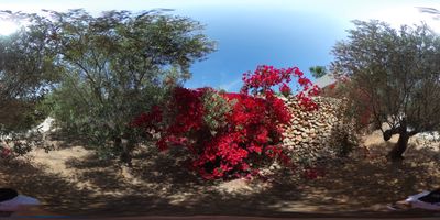 Experimenting with Spherical photographs