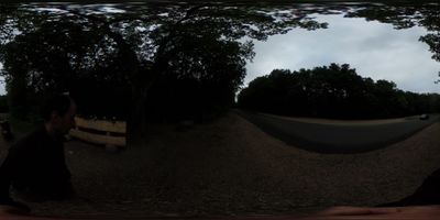 A 360 timelapse walk through the woods