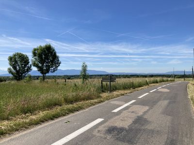 A Call for More Cycling and Walking Paths