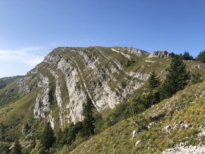 A walk Above the Woods