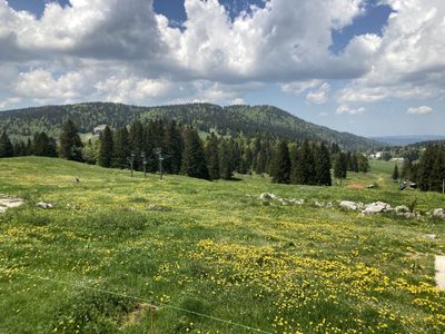 Hiking in the Jura in Minimal Shoes