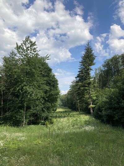 Cycling From Haute-Morges To Nyon Along the Top