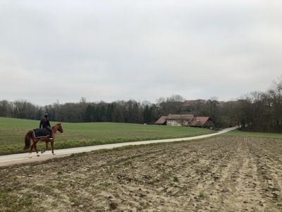 Exploration on Foot